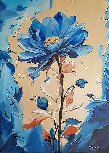 Cliquez pour agrandir