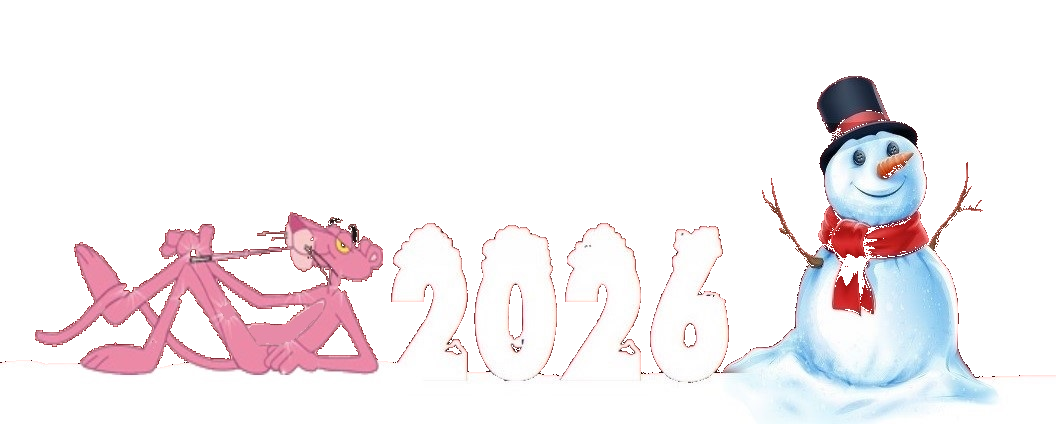 Voeux 2026